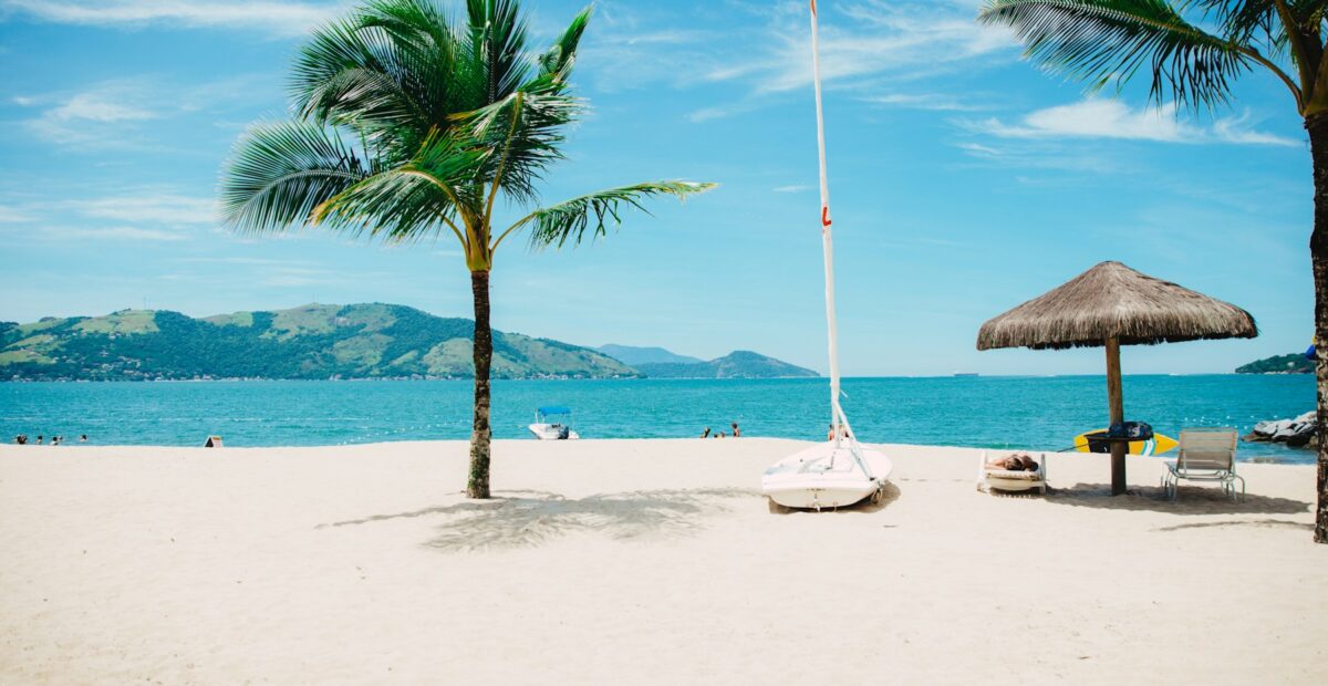 Palm-lined white sand beach on the Kenyan coast