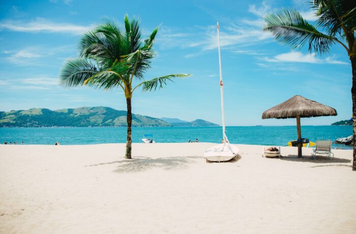 Palm-lined white sand beach on the Kenyan coast Palm-lined white sand beach on the Kenyan coast