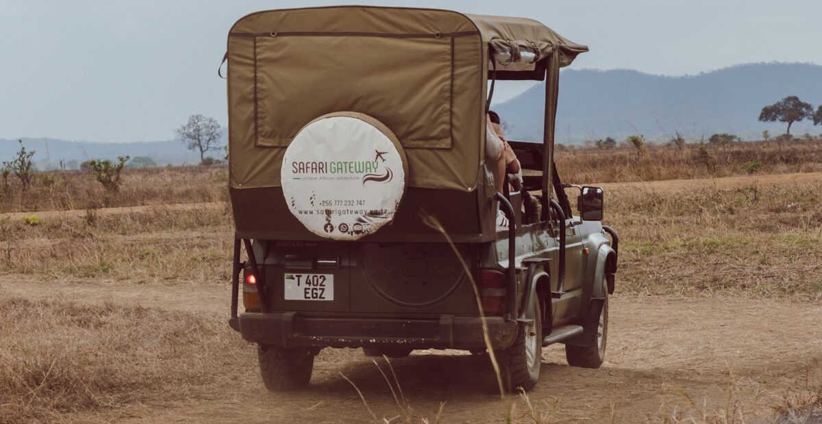 Guide driving a safari vehicle through the savannah