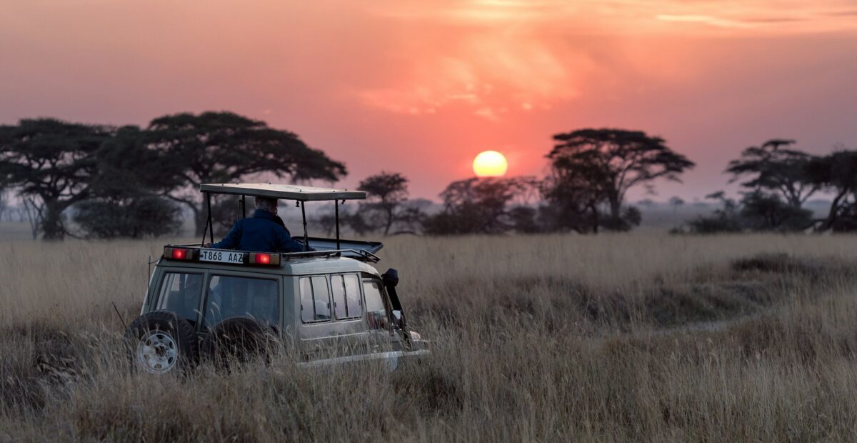 Masai Mara plains at sunrise with acacia trees